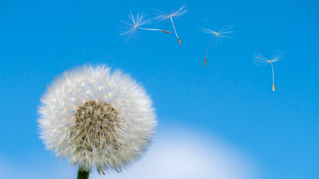 Beitragsbild Hilfsmittel für Allergiker