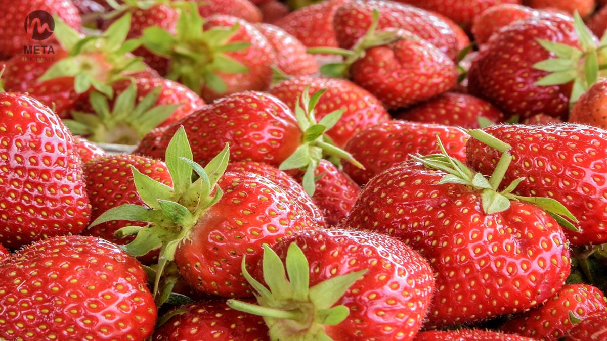 Erdbeeren