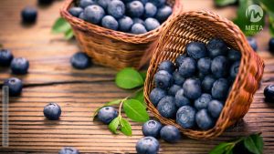 Heidelbeeren, Lutein und Rasterbrille zur Förderung der Sehkraft