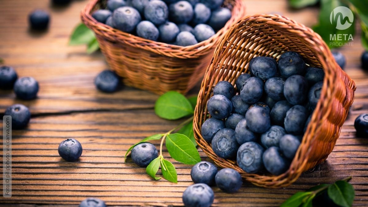 Heidelbeeren, Lutein und Rasterbrille zur Förderung der Sehkraft